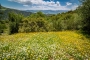 La finca en mayo